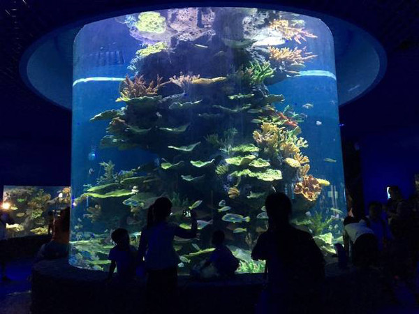 海洋館工程
